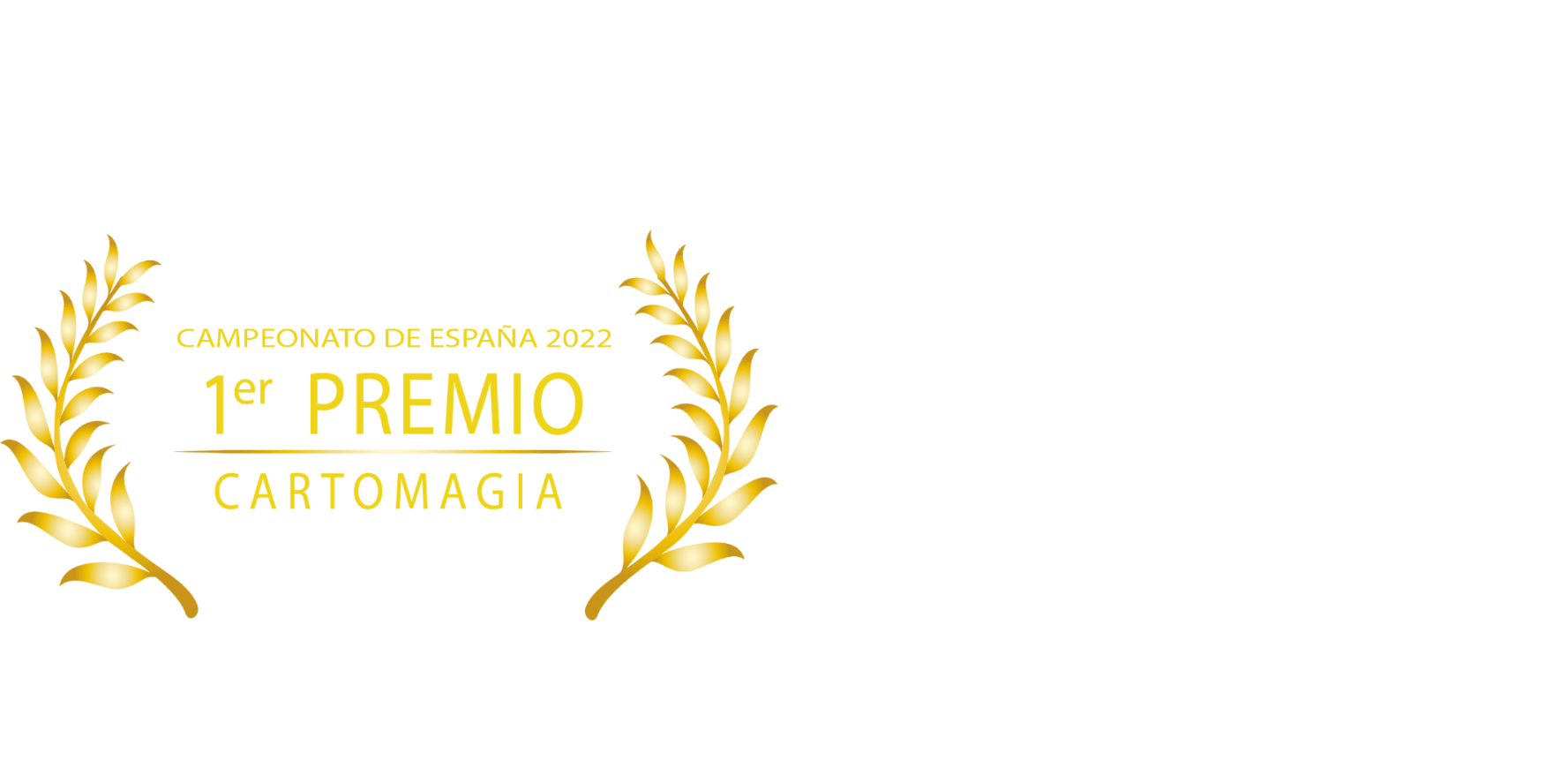 Magia Profesional para Empresas